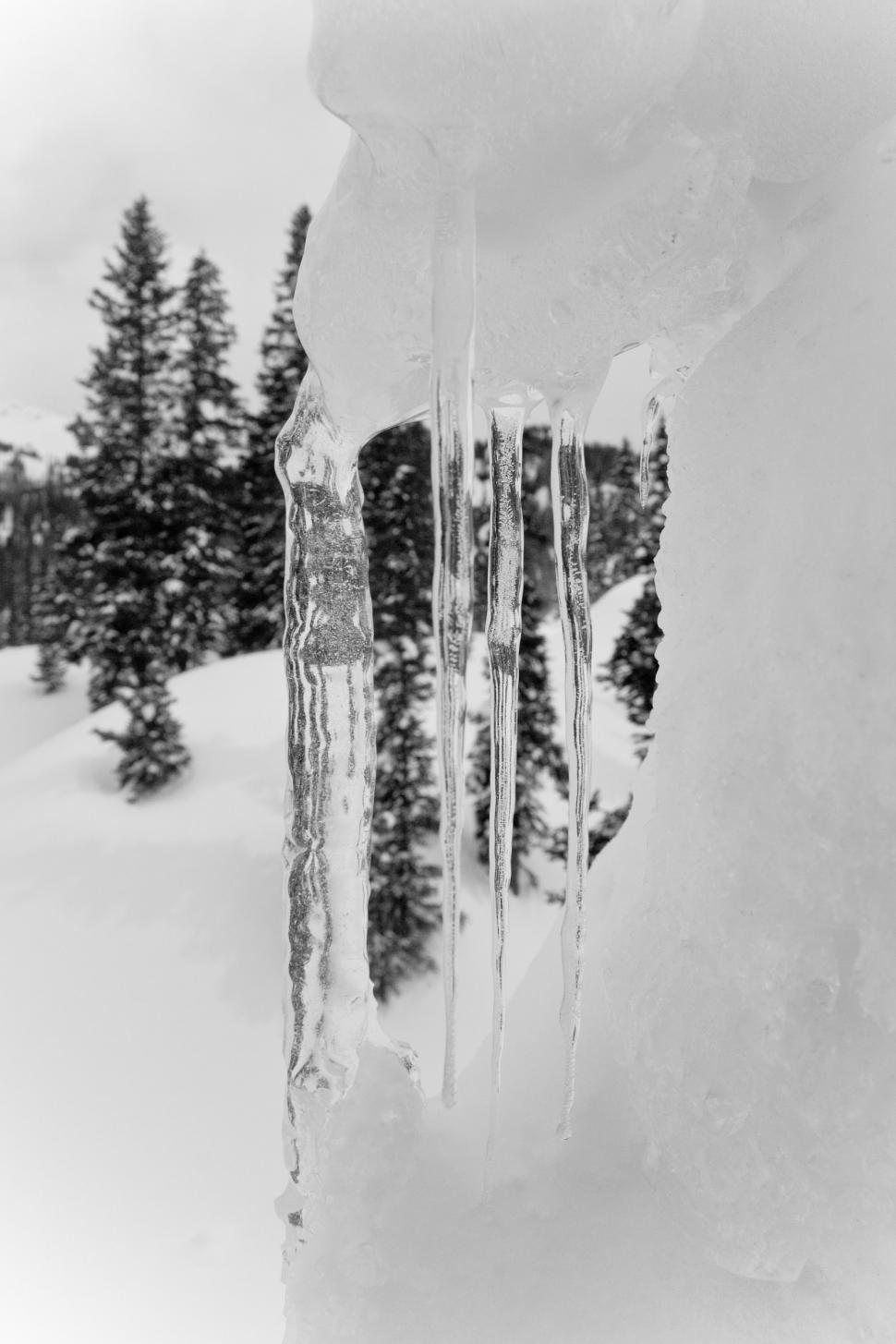 Free Image of Icycles 