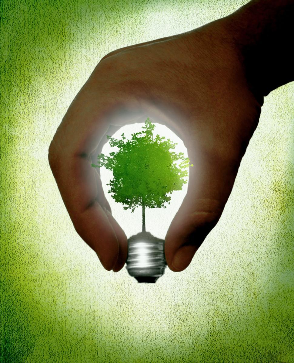 Free Image of Hand creating a lightbulb with green tree - Ecology and life con 