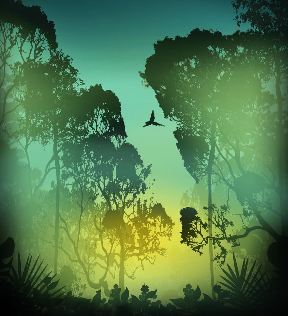 Tropical rainforest scene - Ecology and biology concept