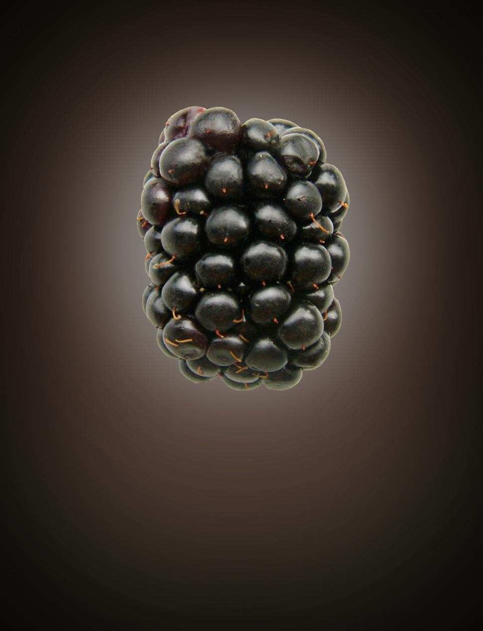 Free Image of Black Berry on Black Blackground 