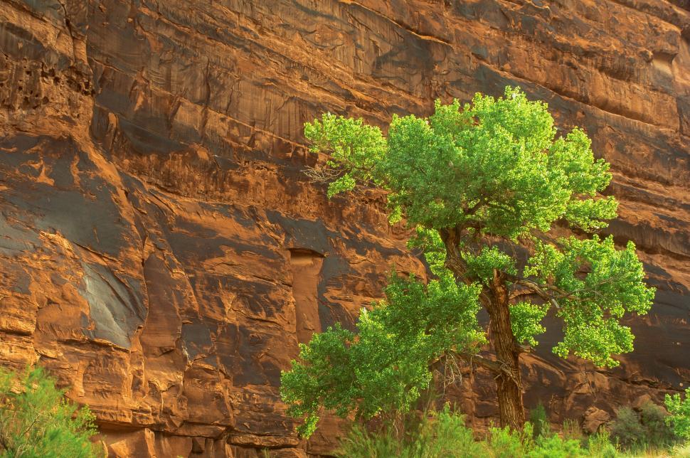 Free Stock Photo of Kane Creek Canyon in Utah Download Free Images