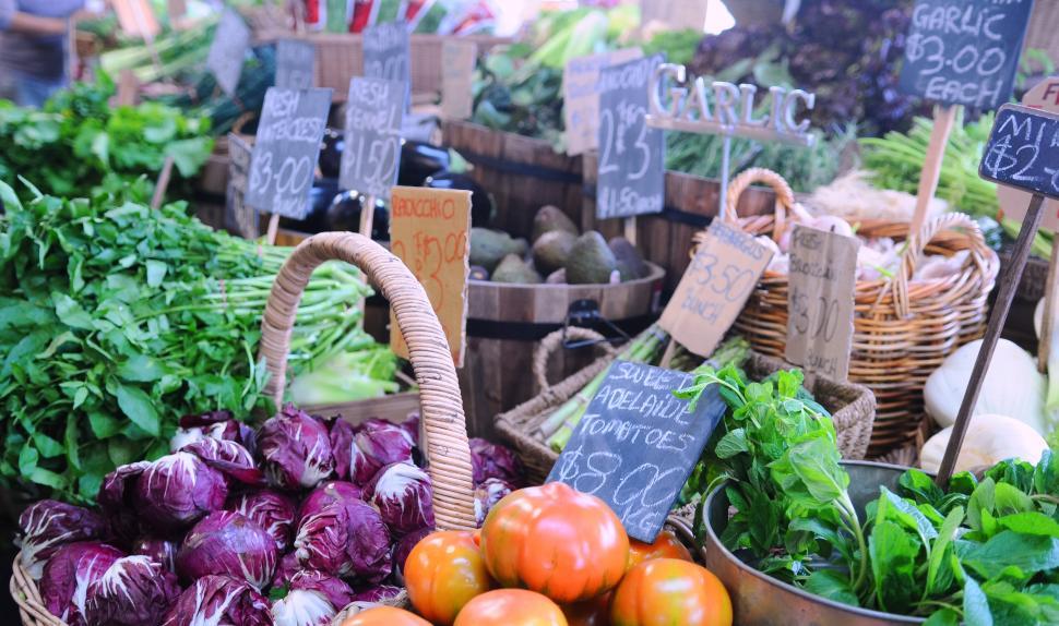 Free Stock Photo of Farmers Market | Download Free Images and Free  Illustrations