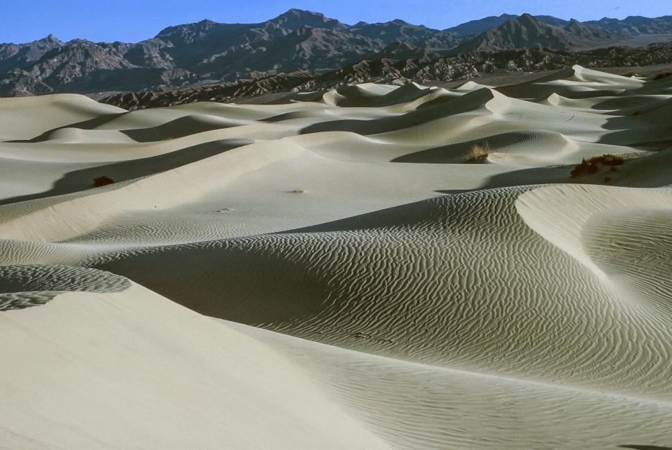 Free Image of Sand Dunes 