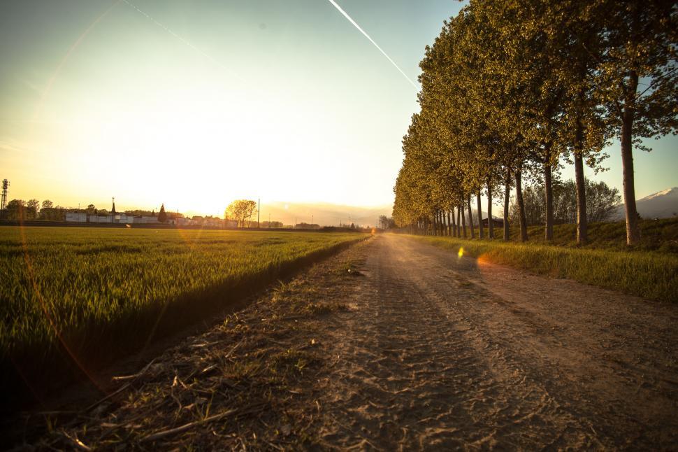 Free Image of Agricultural fields 