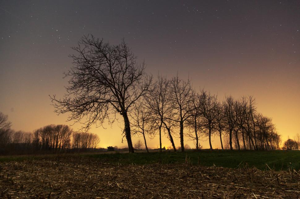 Free Image of  Night sky full of stars  