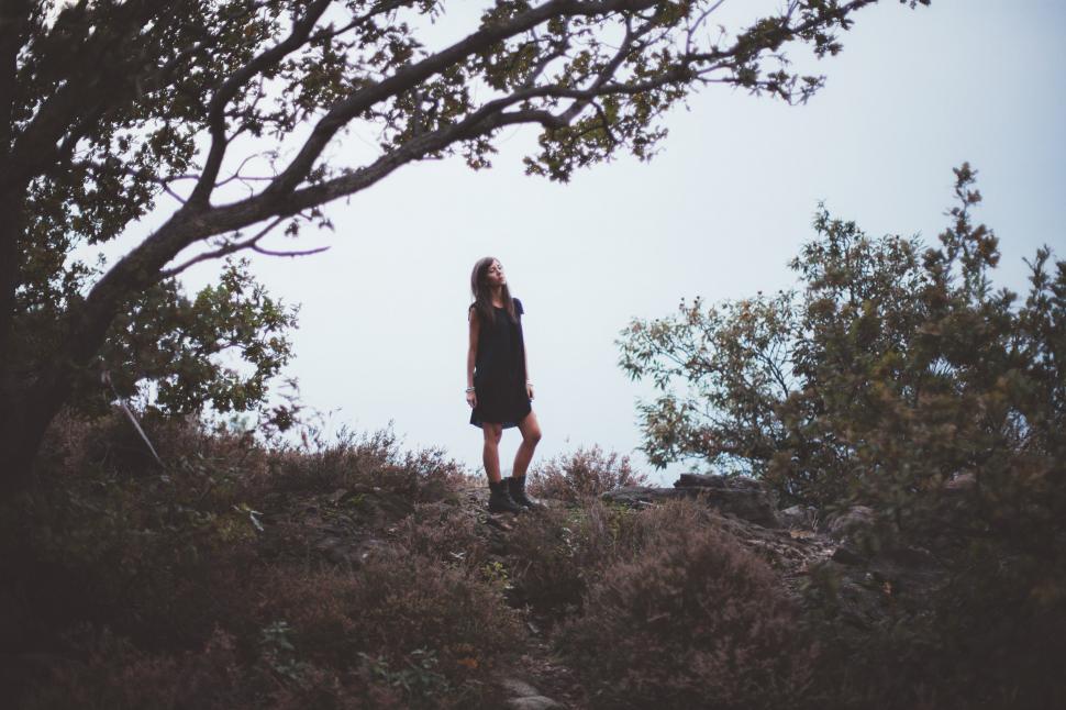 Free Image of A young Caucasian woman in the forest  