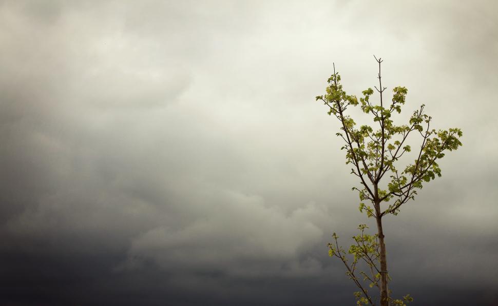 Free Stock Photo of Grey and white clouds Download Free Images and