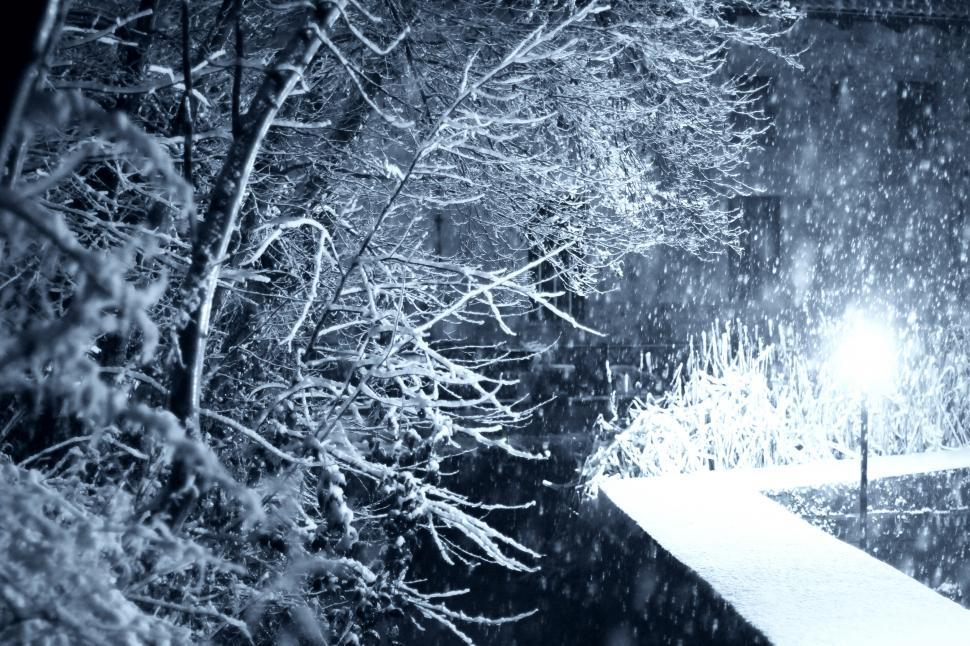 Free Stock Photo Of Snow Covered Trees 