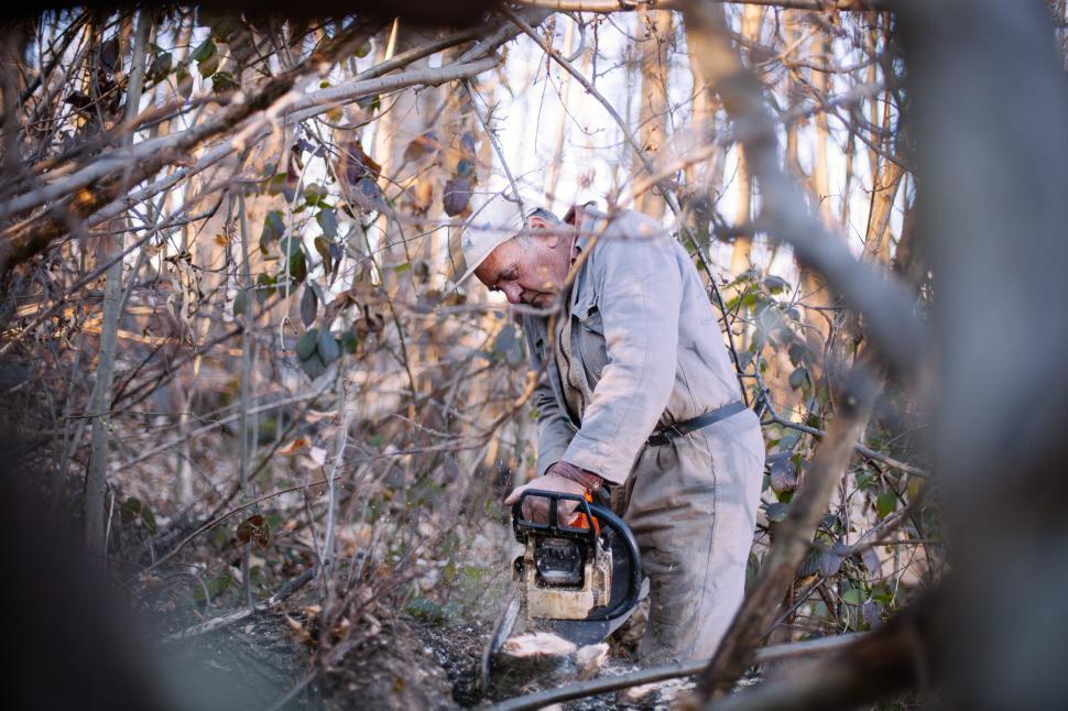 Free Image of Close-up of woodcutter 