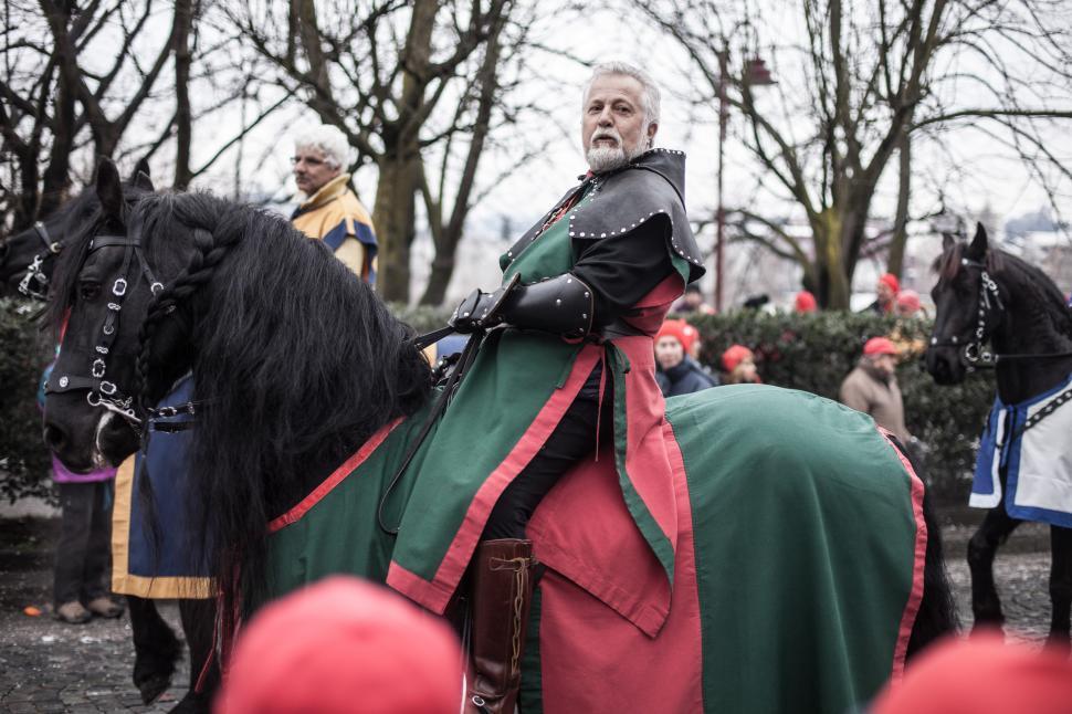 Free Image of Carnival horse rider 