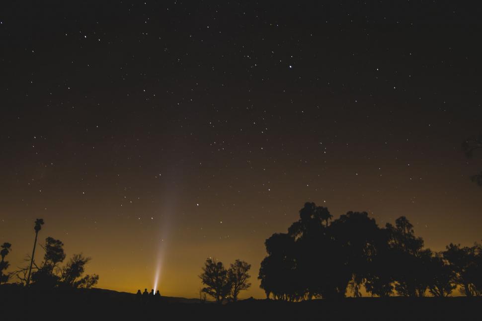 Free Image of Starry Night Sky With Trees 