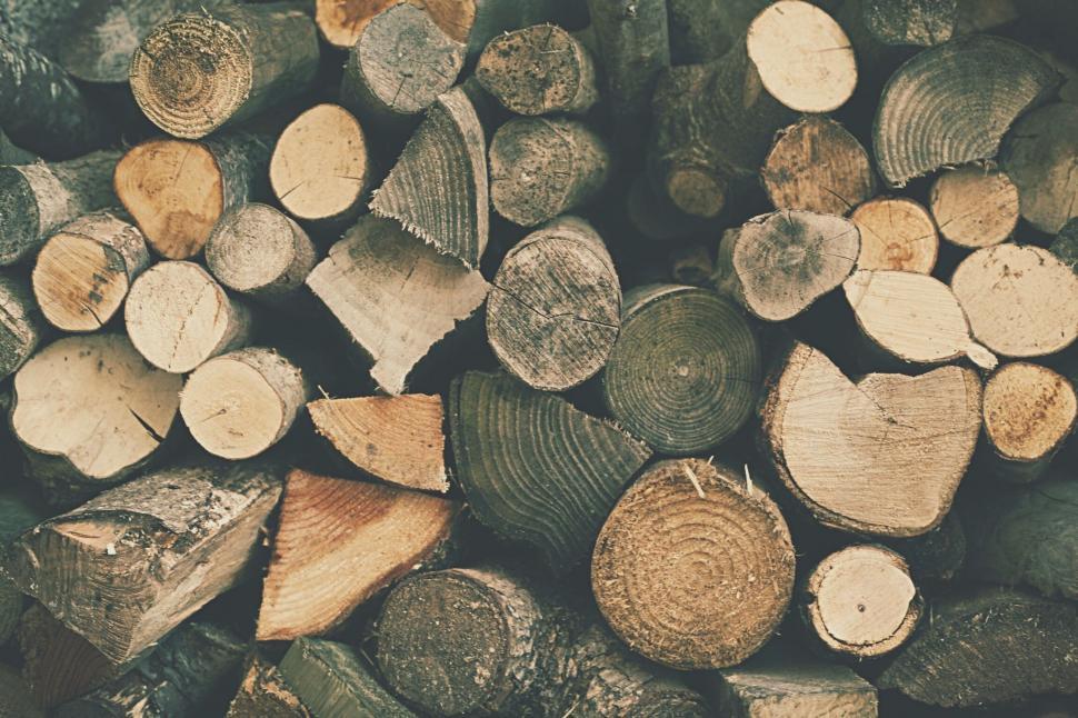 Free Image of Stack of Cut Logs 