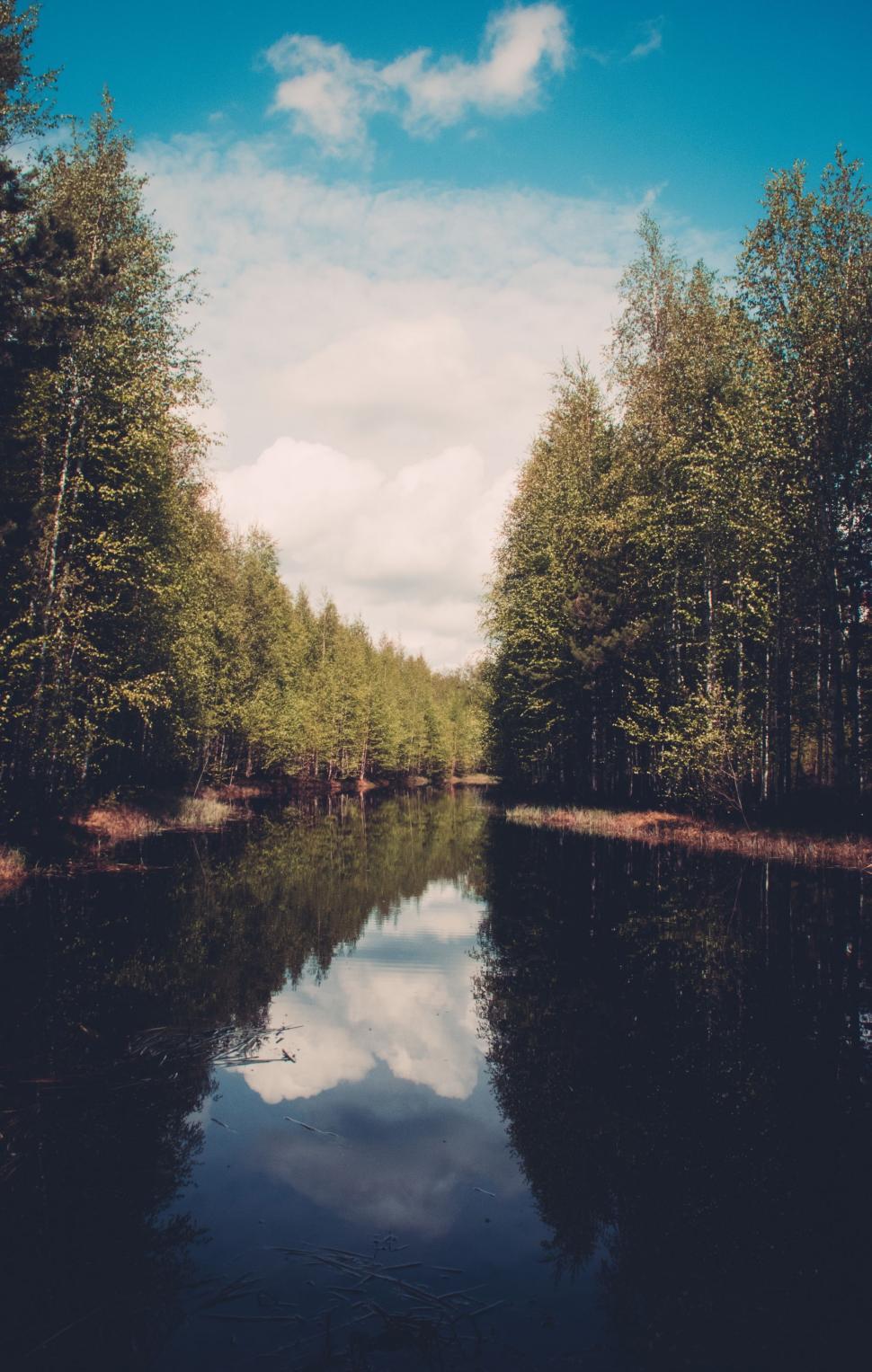 Free Image of Dense Forest Surrounding Lush Water Body 