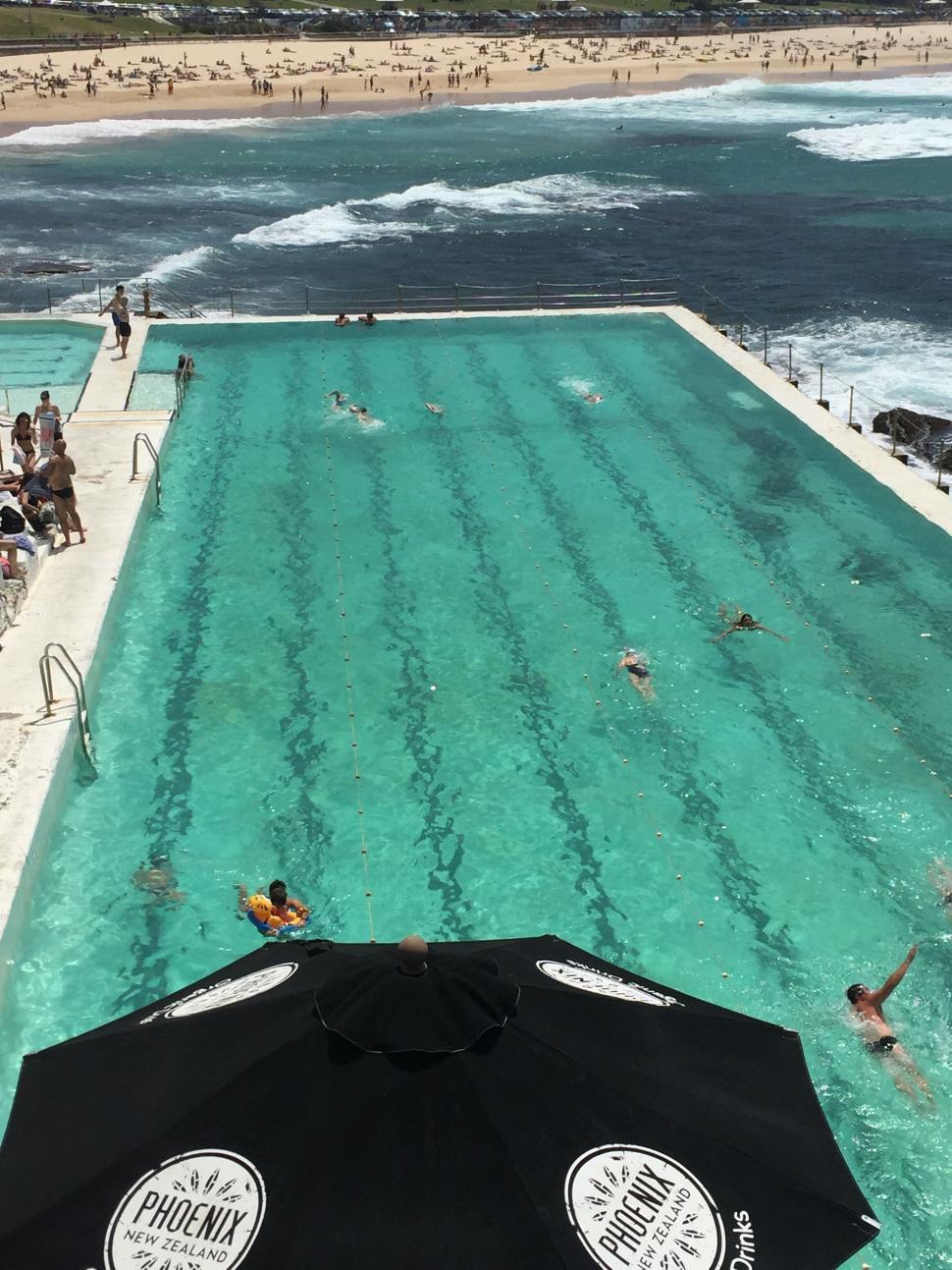 Free Stock Photo Of Large Swimming Pool With People Swimming 