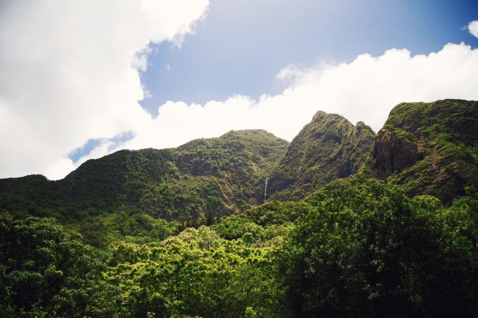 Free Image of Lush Green Forest With Mountains in Background 