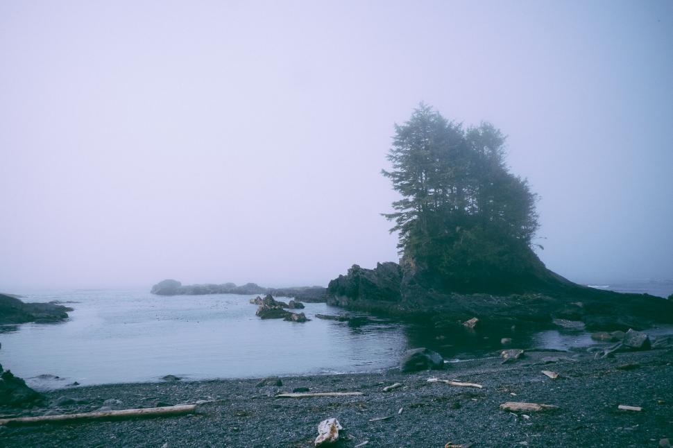 Free Image of Lake With Trees in Background 