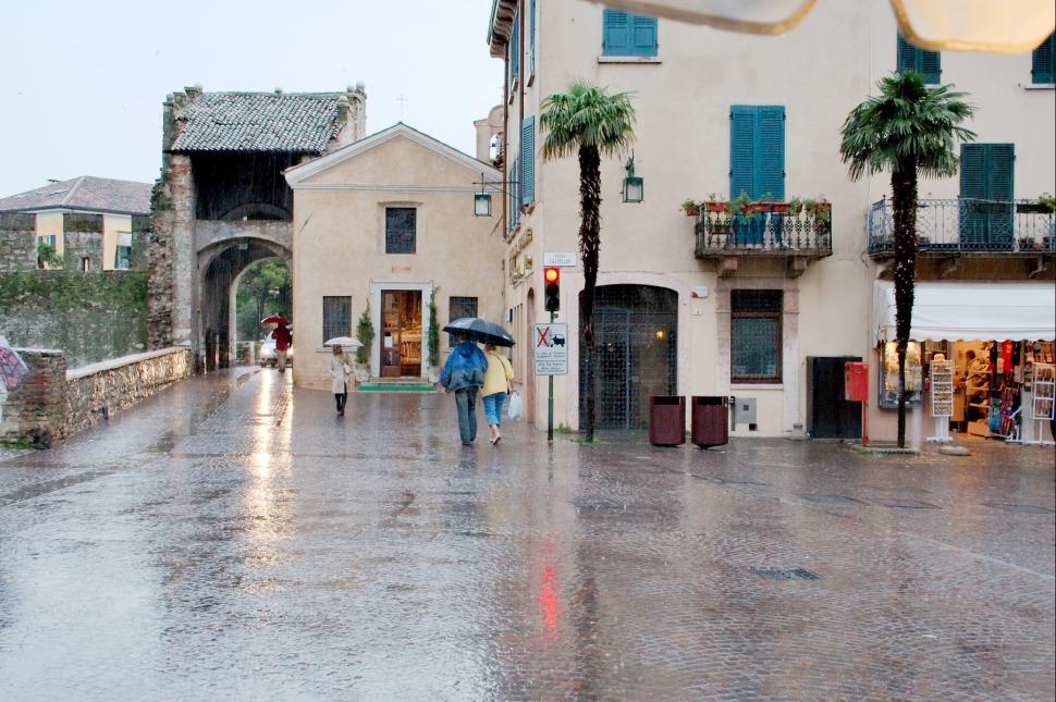 Free Image of The rain 