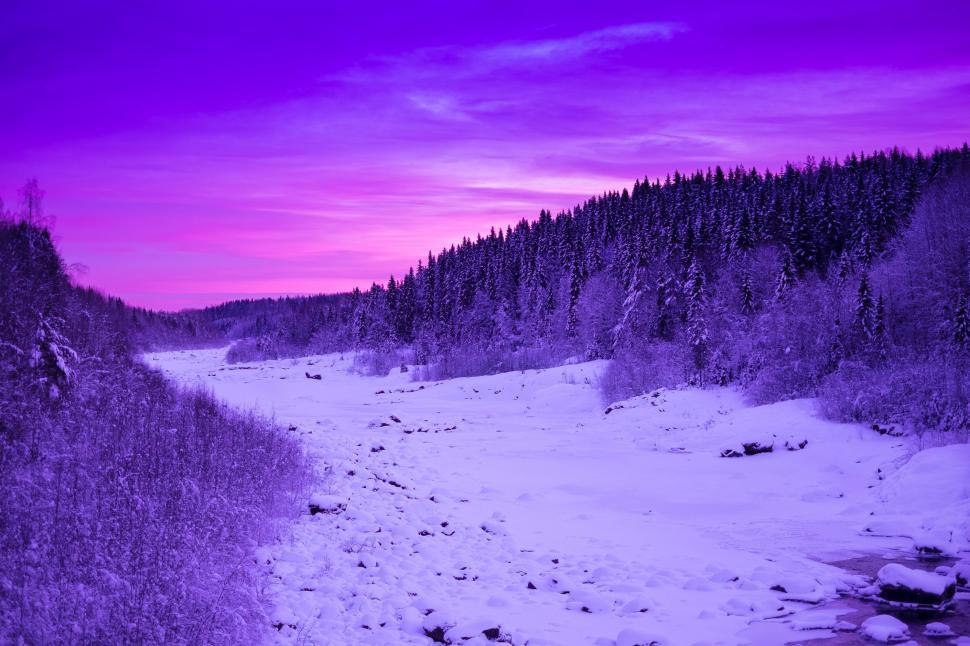 Free Stock Photo of Snow Covered Field, Trees, Purple Sky 