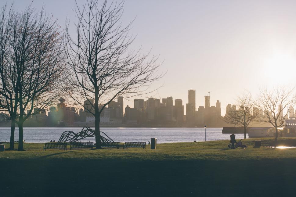 Free Image of City Park With Lake and Urban Skyline 