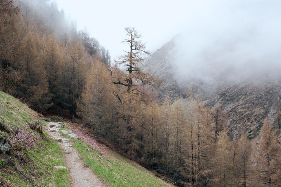 Free Image of Foggy Mountain and Trail 