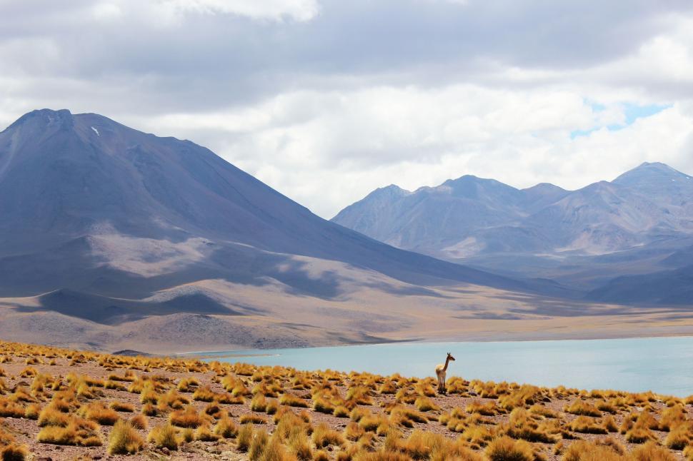 Free Image of Majestic Lake Surrounded by Towering Mountains 