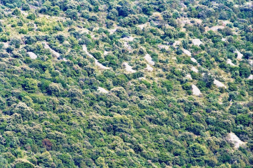 Free Image of The hill 