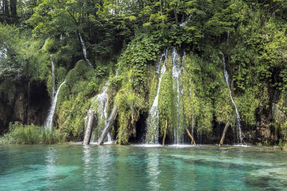 Free Image of Lush Green Trees Surrounding Body of Water 