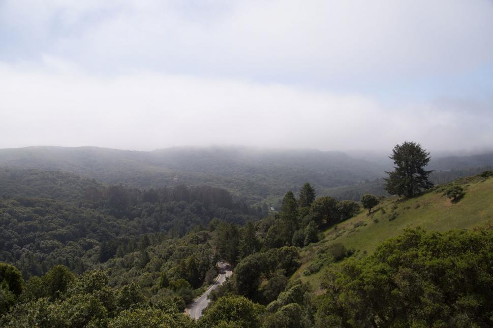 Free Image of River Flowing Through Lush Green Forest 