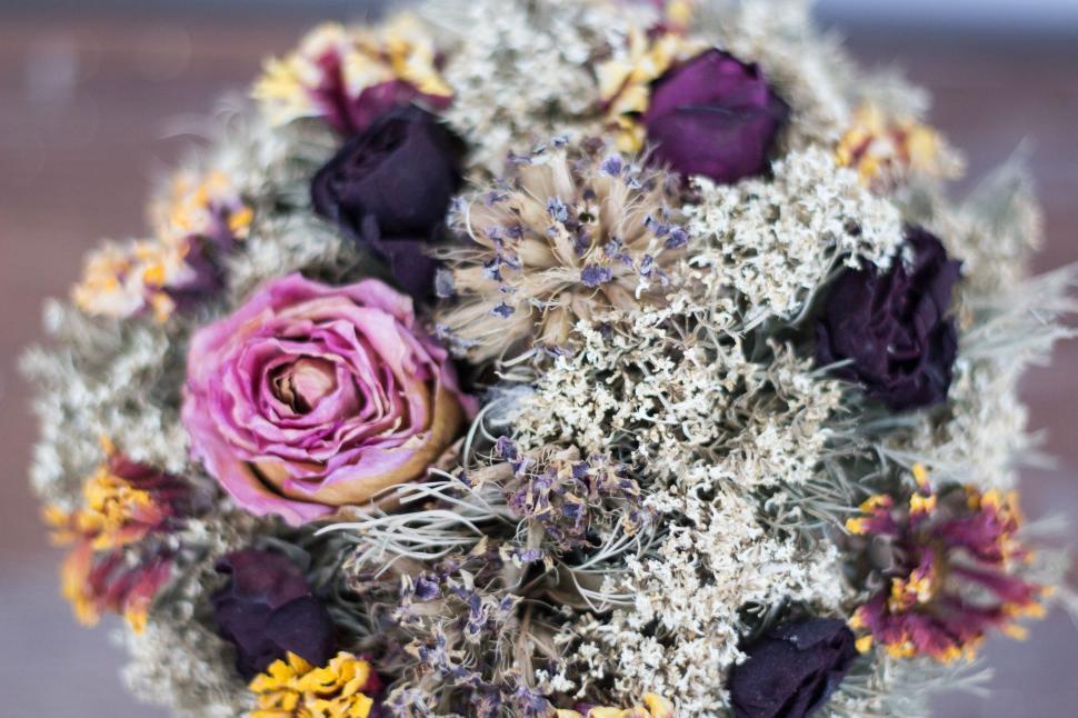 Free Image of Close Up of a Bouquet of Flowers 