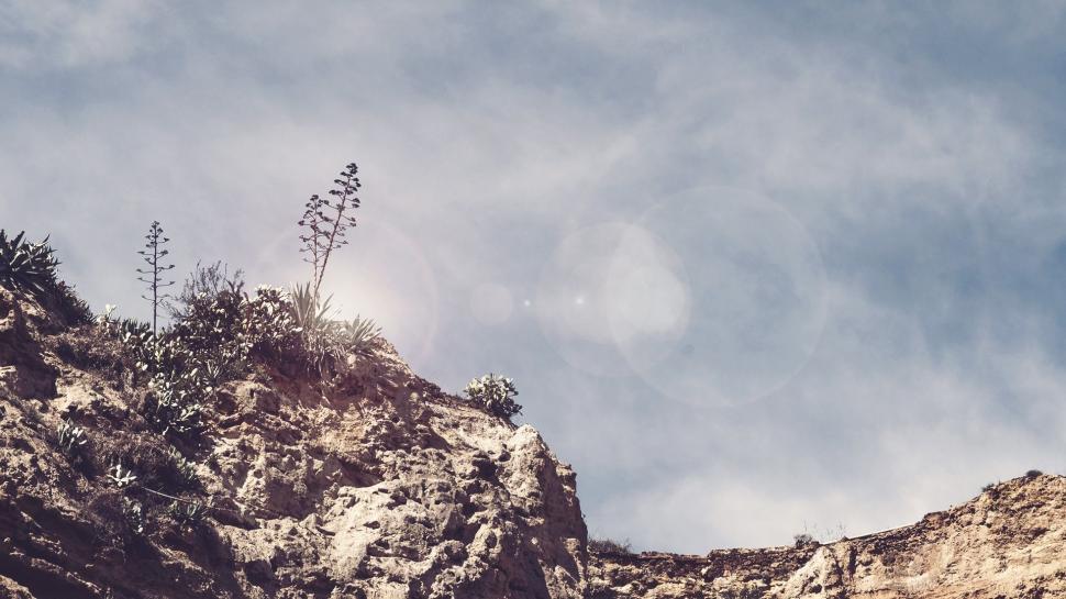 Free Image of Bird Flying Over Rocky Cliff Under Cloudy Blue Sky 