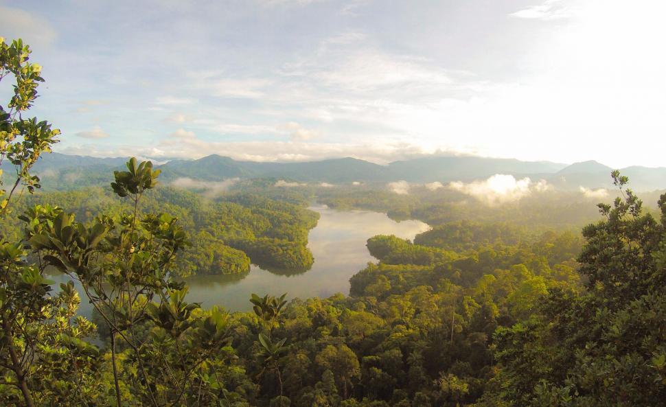 Free Image of Serene Lake Surrounded by Trees 