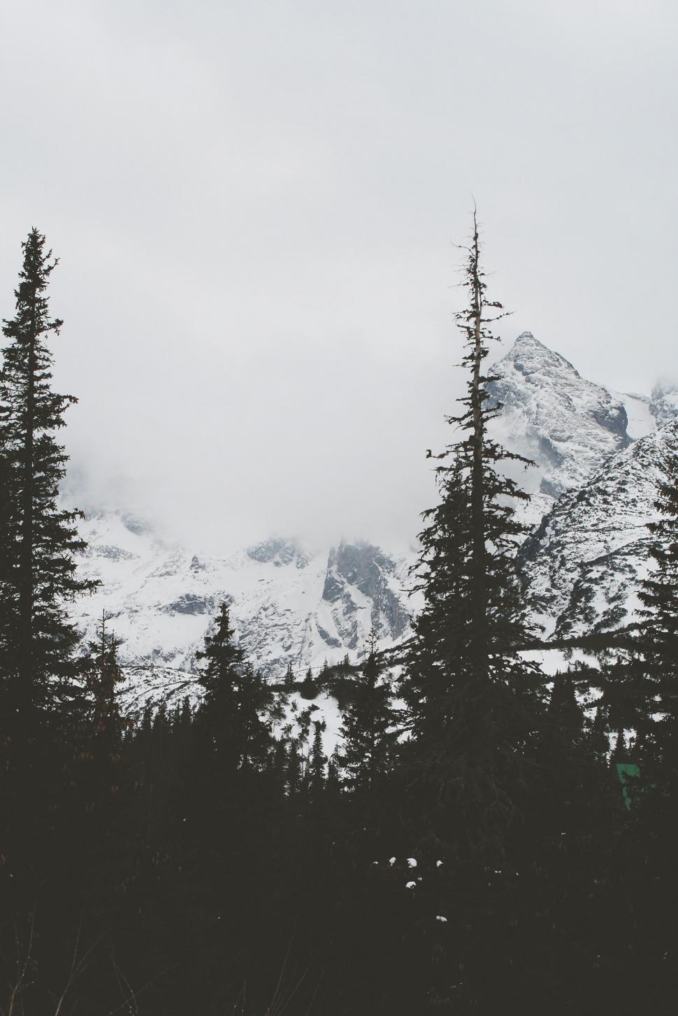 Free Image of Snow Covered Mountain in Black and White 