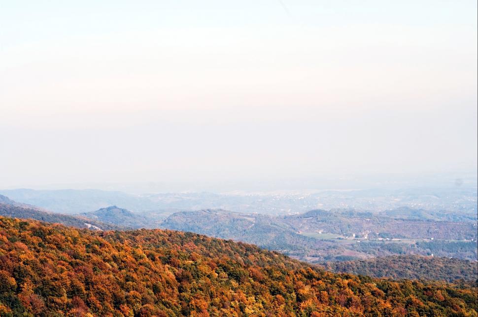 Free Image of Autumn colors 