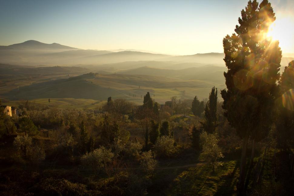 Free Image of Sun Shining Through Trees in Mountains 