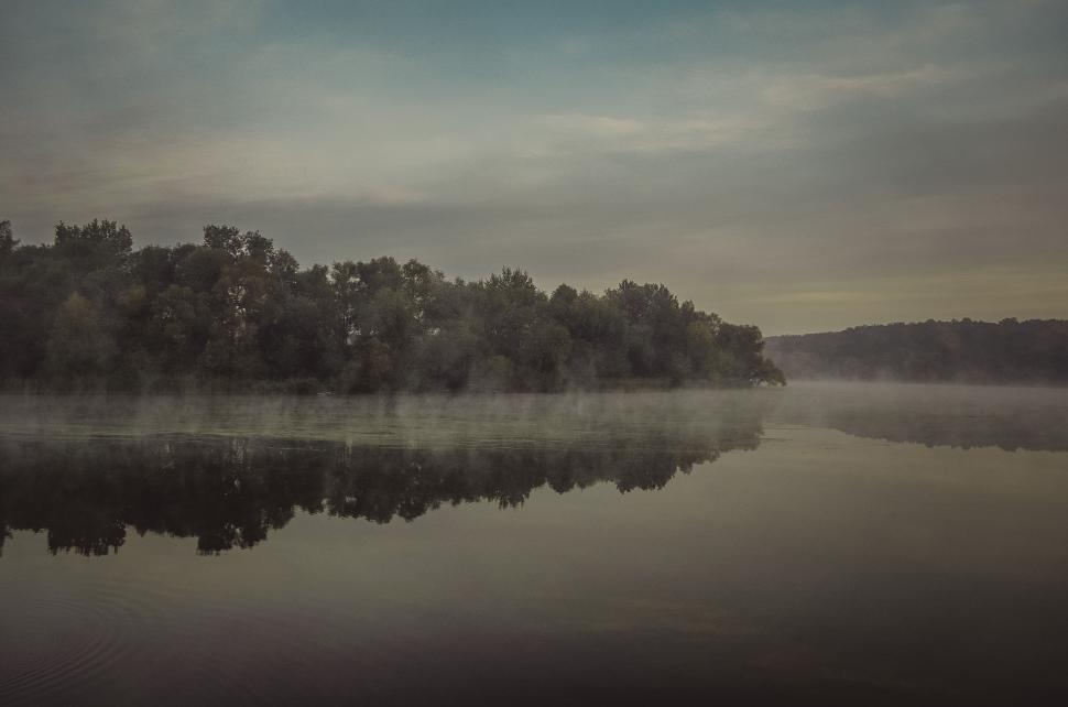 Free Image of Misty Lake Surrounded by Trees 