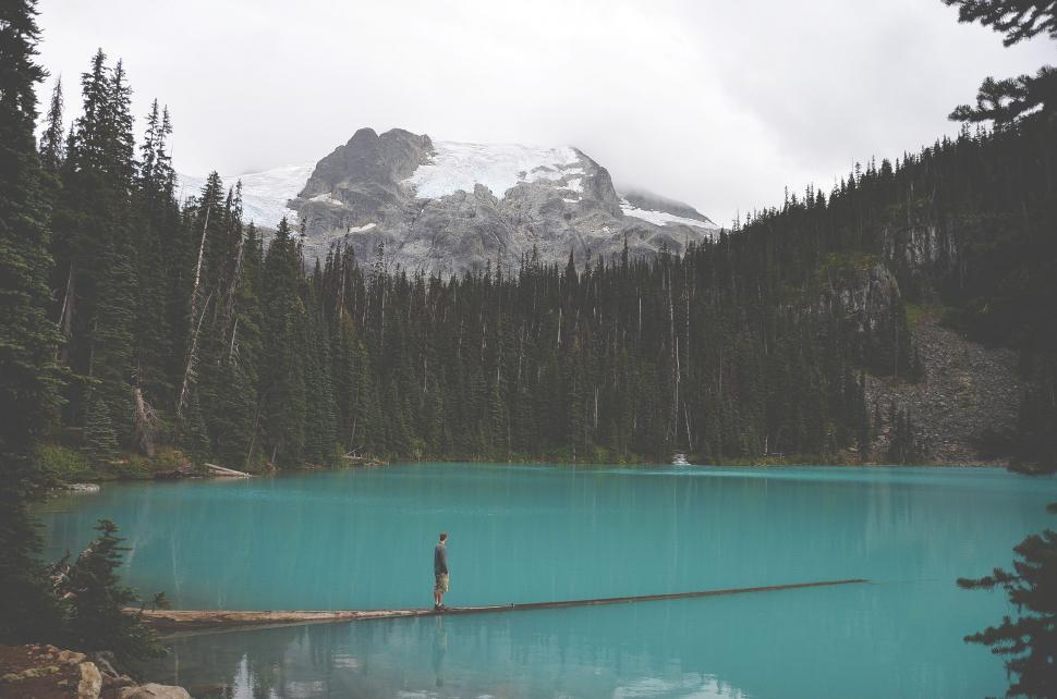 Free Image of Person Standing on Log by Lake 