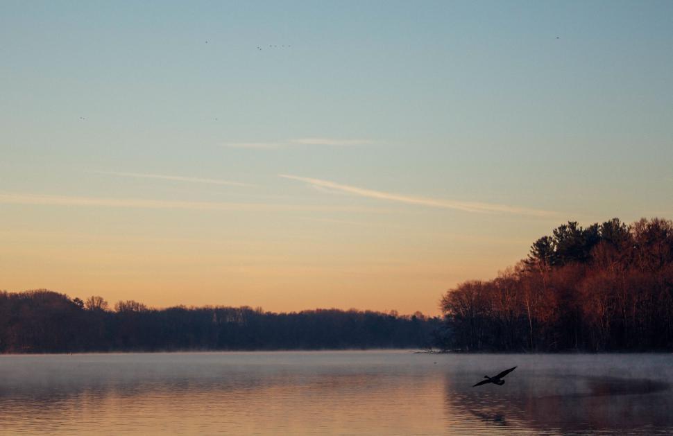 Free Image of Bird Flying Over Large Body of Water 