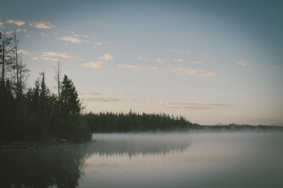 Free Image of Water Body Surrounded by Trees on Cloudy Day 