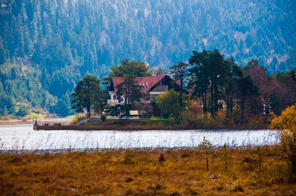Free Image of House on a Small Island in the Middle of a Lake 