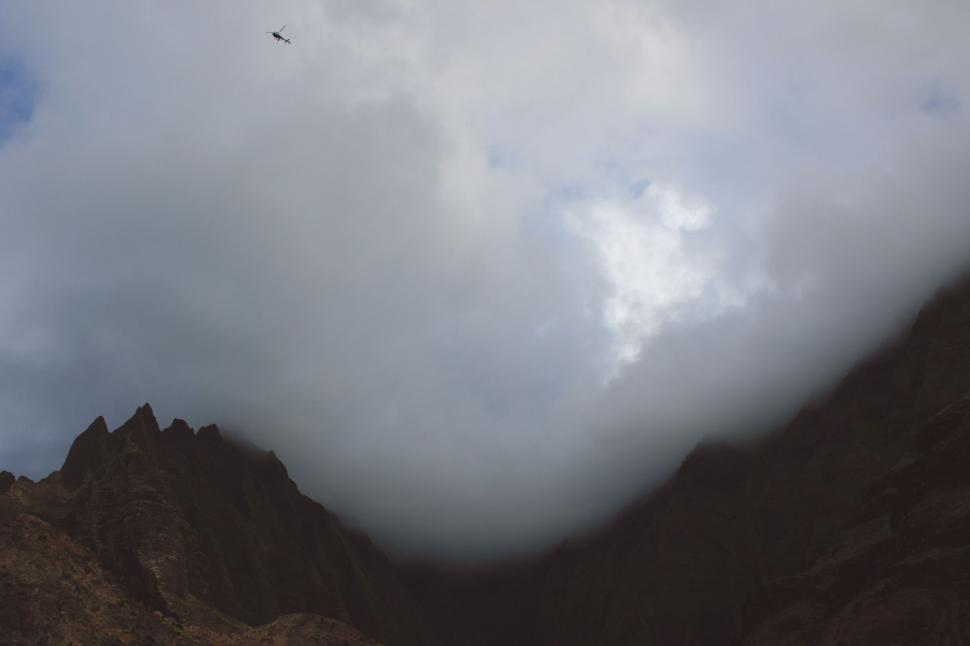 Free Image of A Bird Soaring High in the Sky 