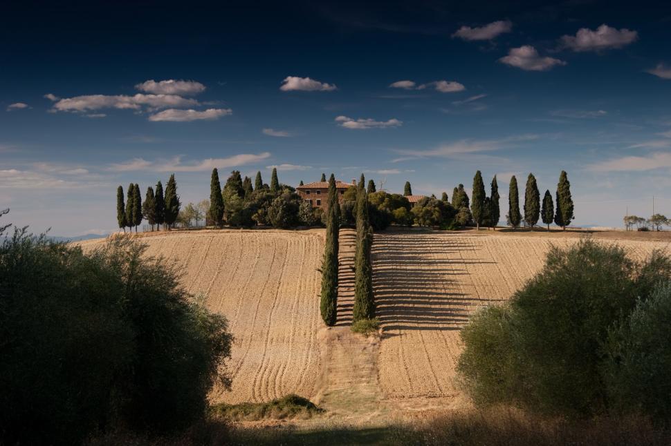 Free Image of Field With Trees and Fence 