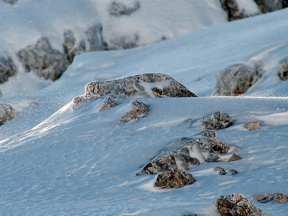 Free Image of Snow detail 