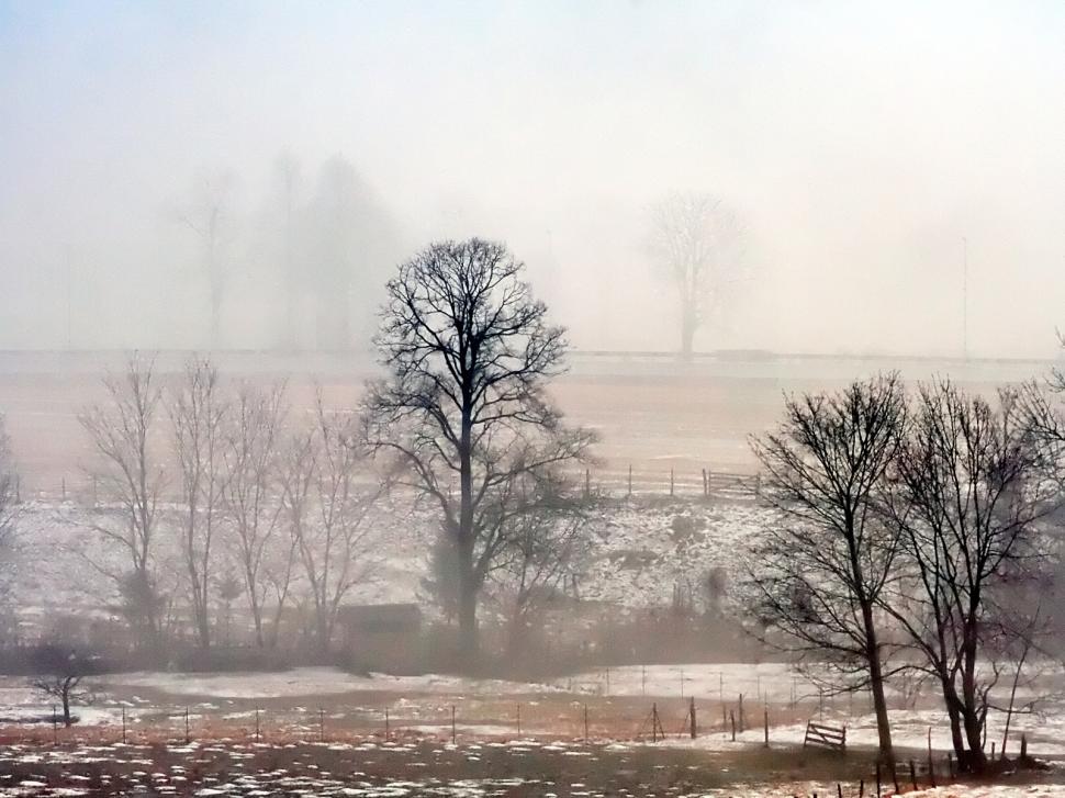 Free Stock Photo of Fog | Download Free Images and Free Illustrations