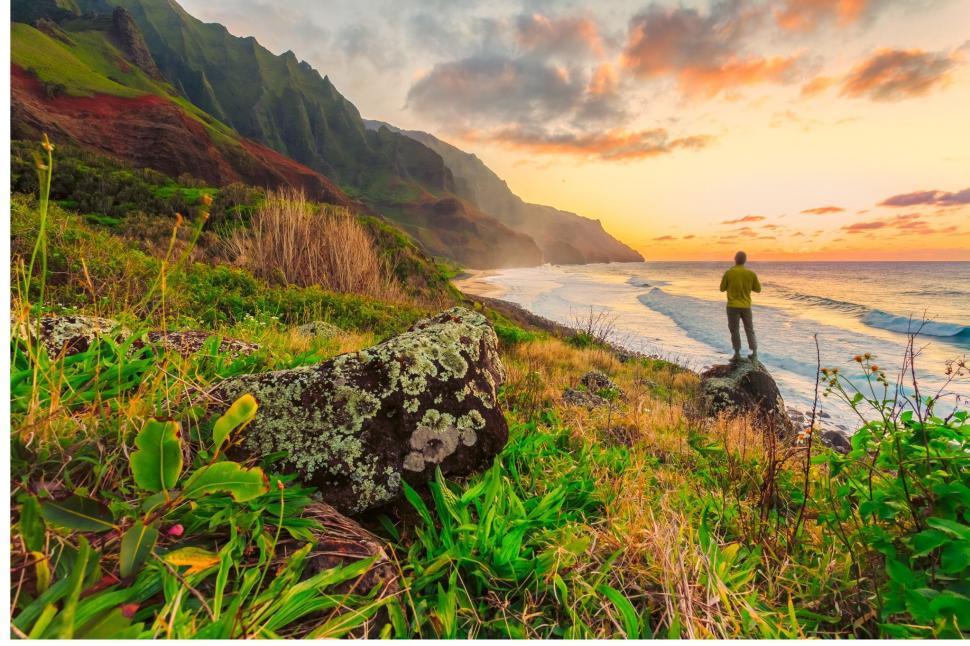 Free Image of Man Standing on Top of Lush Green Hillside 