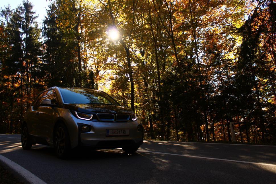 Free Image of Car Driving Down Road Next to Forest 