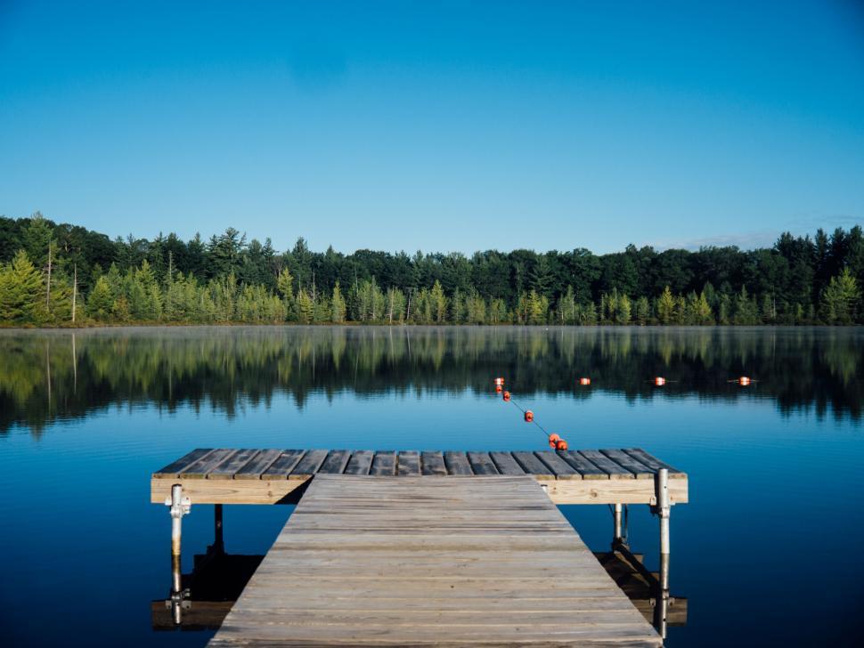 Free Image of Wooden Dock on Lake by Forest 