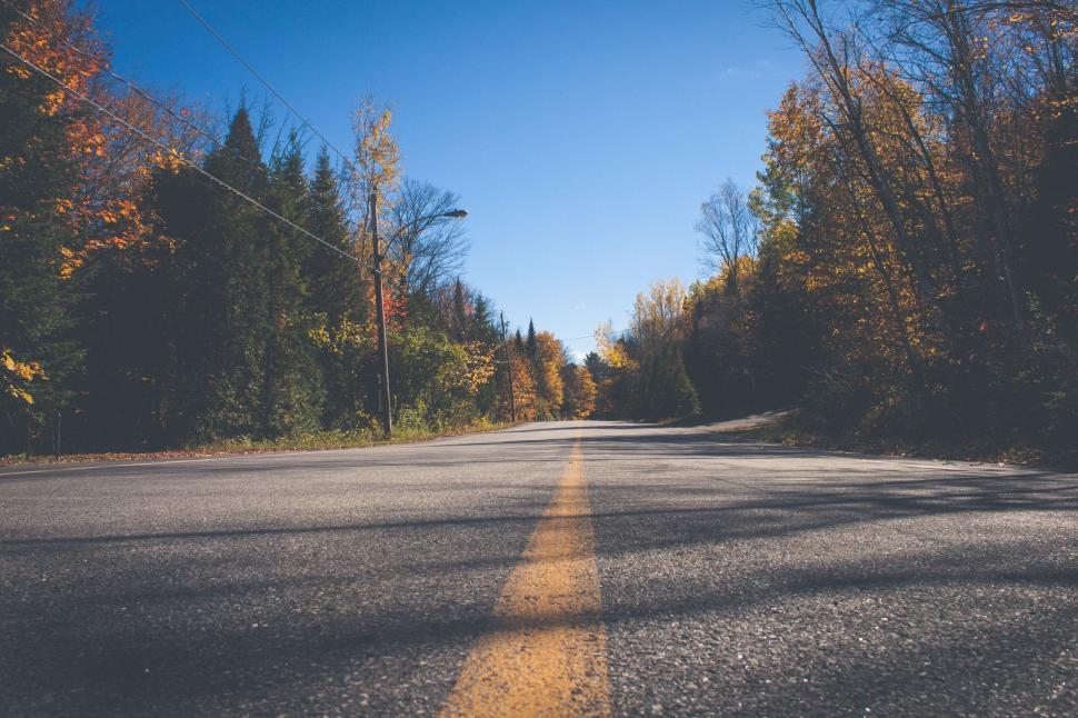 Free Image of Road Cutting Through Wooded Area 