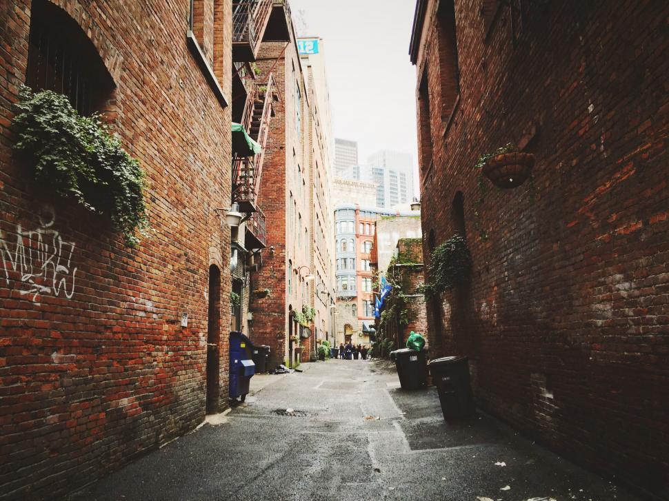 Free Image of Urban Alley With Graffiti Walls 