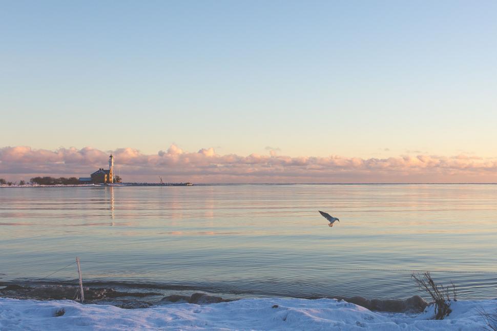 Free Image of Bird Flying Over Body of Water 