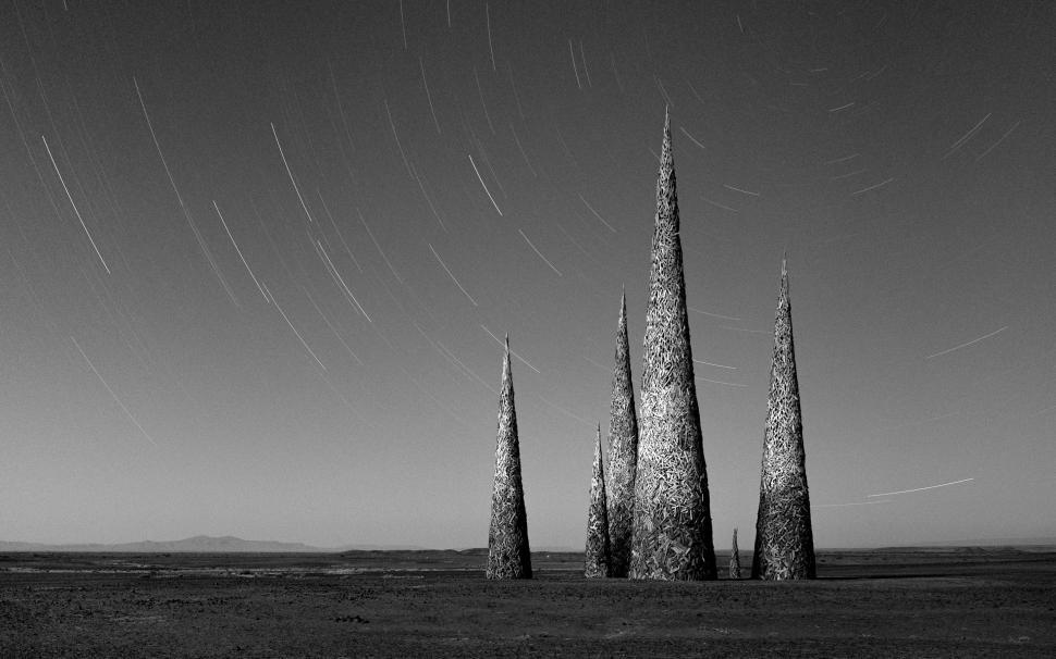 Free Image of A Group of Trees in Black and White 